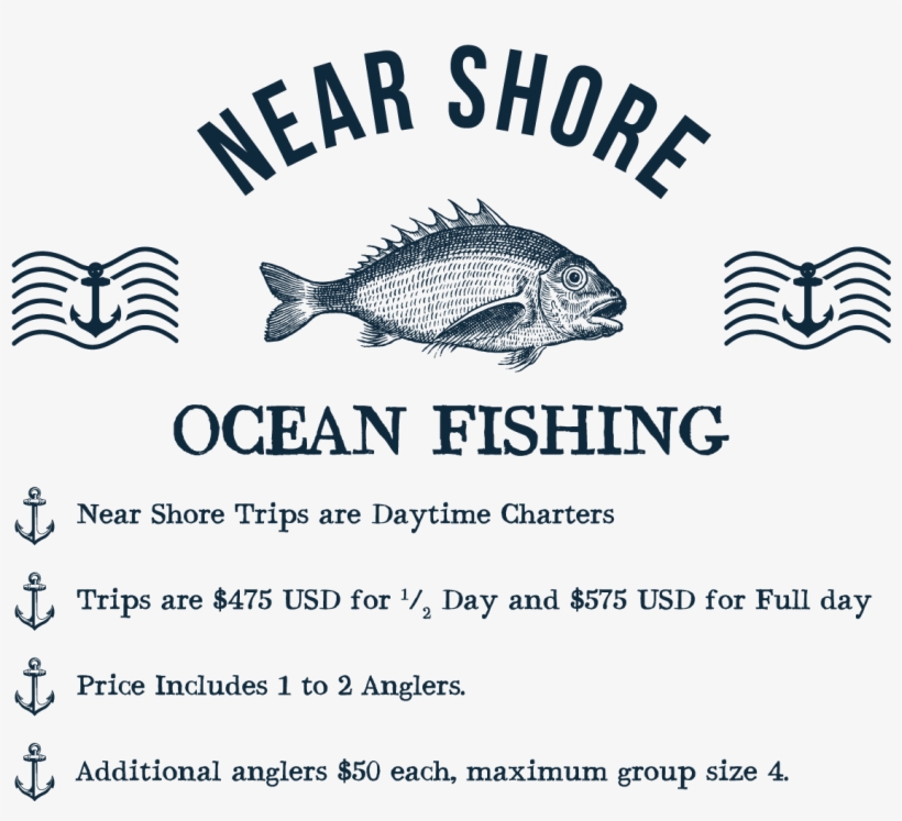 Near Shore Ocean Fishing These Are Daytime Charters, - Stampers Anonymous Tim Holtz Cling Stamps 7"x8.5"-sea, transparent png #3635467