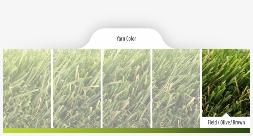 Coolflo Technology Is The Latest Innovation In The - Sweet Grass, transparent png #3635475