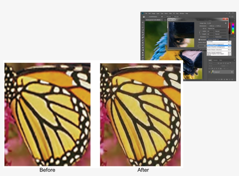 Preserve Details - Life Of A Butterfly, Level 5 [book], transparent png #3635546