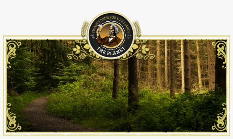 Copy-enviro Header - Larch, transparent png #3635635