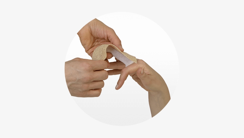 Woodcast, transparent png #3635740