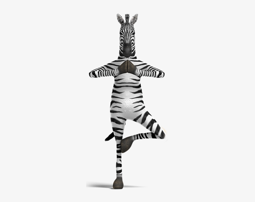 Zebra - Zebra Zen, transparent png #3636033