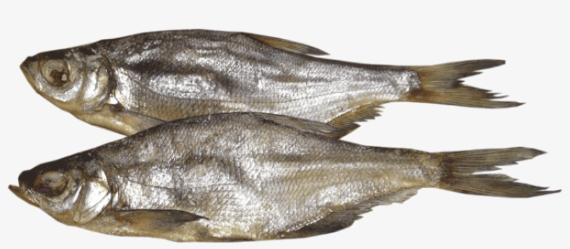 Free Png Fish Png Images Transparent - Вяленая Рыба Пнг, transparent png #3636095