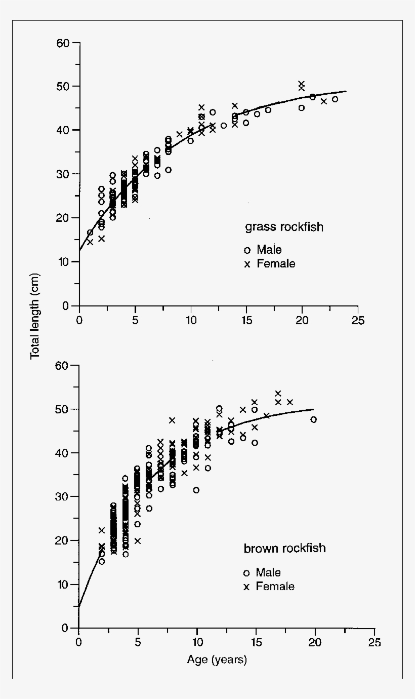 Von Bertalanffy Growth Curves For Grass Rockfish And - Document, transparent png #3636120