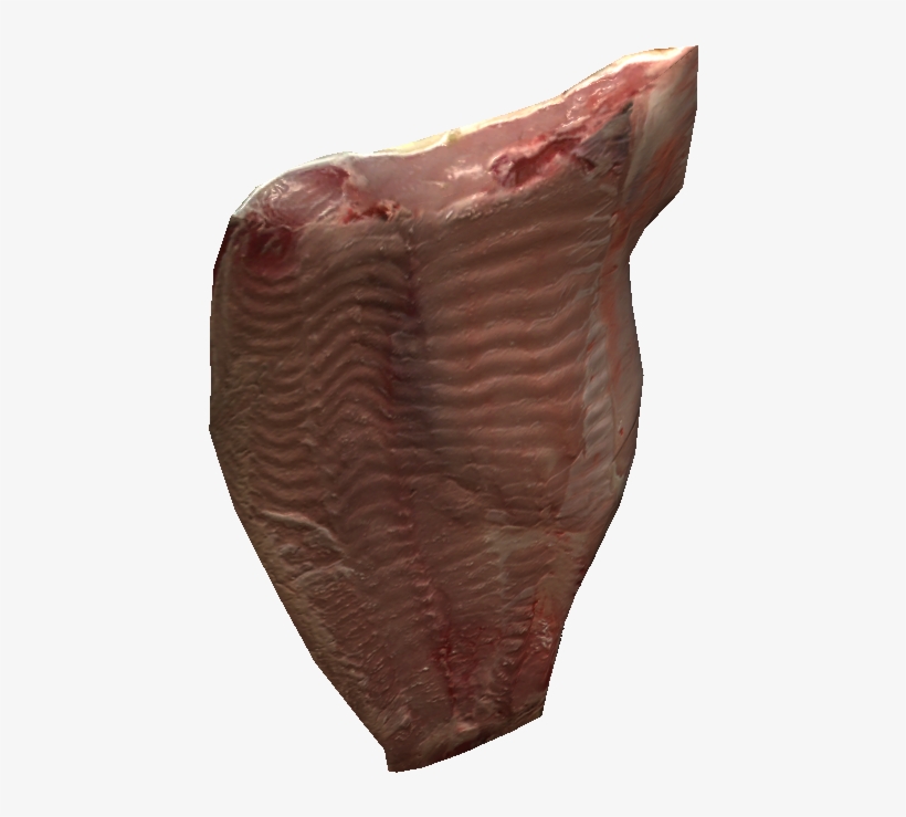 Raw Fish Fillet - Dayz, transparent png #3636163