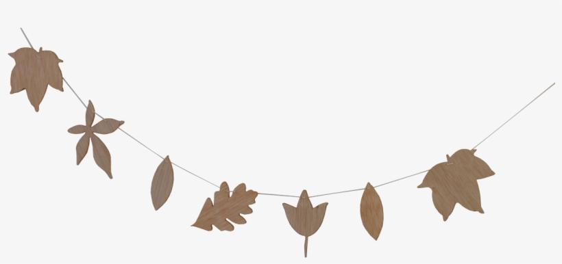 D Wdn G 001 001 01 - Earrings, transparent png #3637249