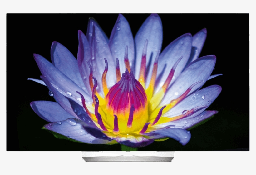 Lg 55eg9a7v Full Hd Smart Tv, transparent png #3637702