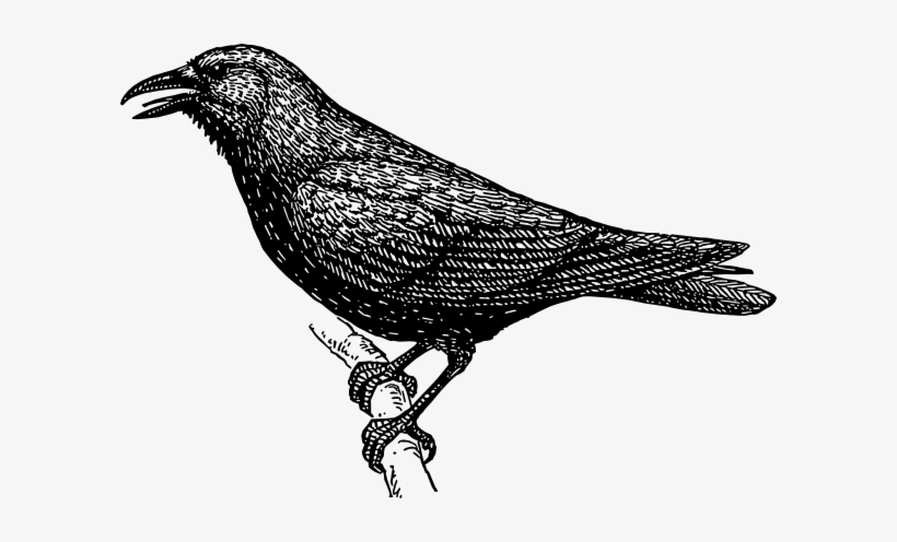 Crow Svg Clip Arts 600 X 416 Px, transparent png #3638639