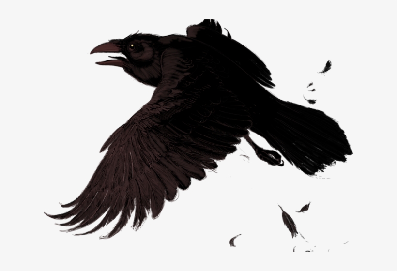 Raven Png, transparent png #3638685