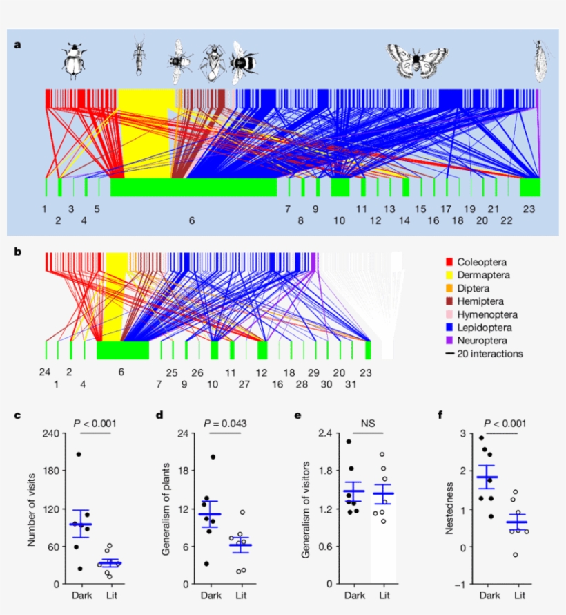 Effects Of Artificial Lighting On Parameters Of Nocturnal - Diagram, transparent png #3639876
