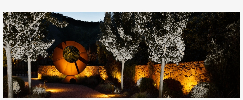 Adjust Color Temperatures To Complement Vegetation - Tree, transparent png #3639946