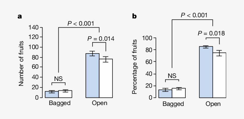 Effects Of Artificial Lighting On Fruit Set - Proliferation Assay Hek293 Egf, transparent png #3639947