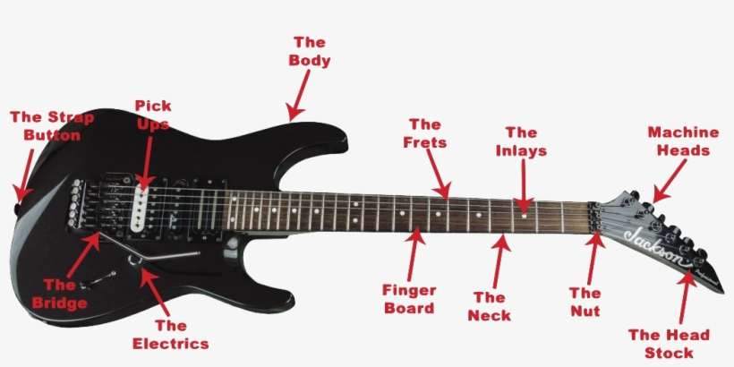 Anatomy Of The Guitar - Guitar Parts Names, transparent png #3640004