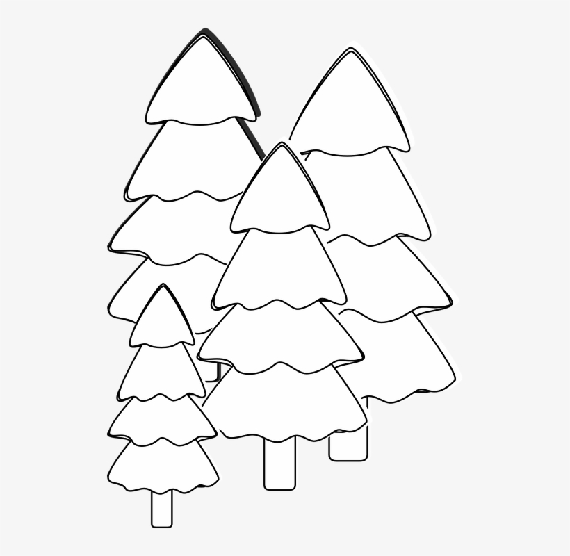 Tree Line Clipart - Outline Of Group Of Trees, transparent png #3640115