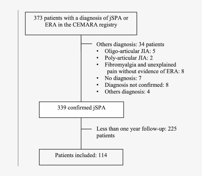 Cemara, A French Information System For Rare Disease - Document, transparent png #3640116