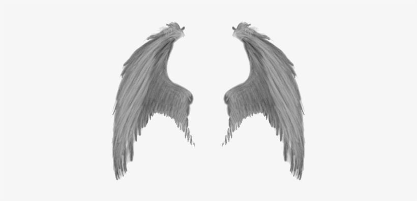 Wings - Realistic Demon Wings Png, transparent png #3640253