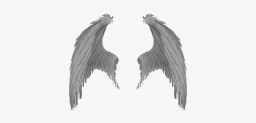 Wings - Realistic Demon Wings Png, transparent png #3640253