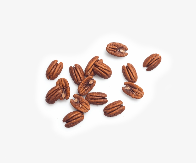Pecan - Almond, transparent png #3641468