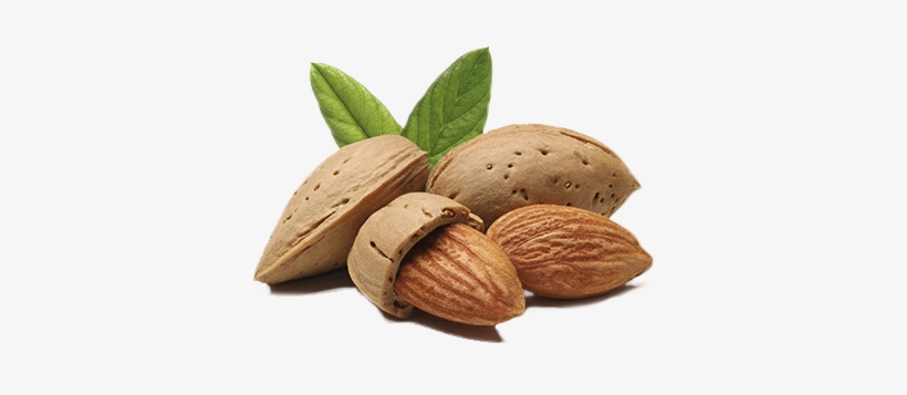 Https - //blog - Biostarus - Com/wp-content/uploads/ - Prunus Amygdalus Dulcis Oil Png, transparent png #3641803