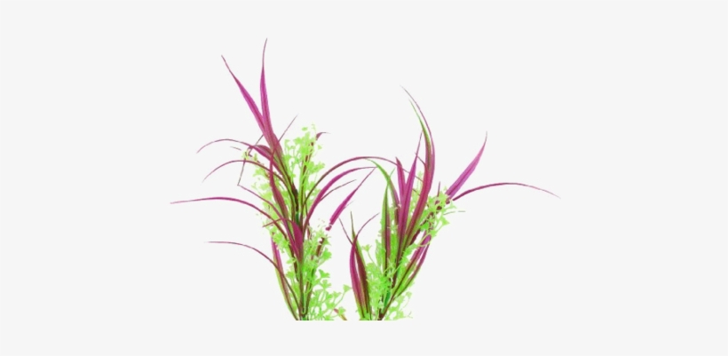 Water Grass Png, transparent png #3642274