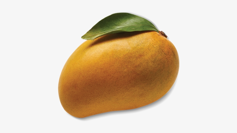 Golden, Creamy Alphonso Mangos From India Are The Only - Alphonso, transparent png #3642411