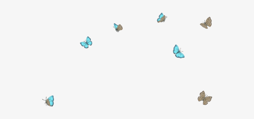 Lycaenid - Free Transparent PNG Download - PNGkey