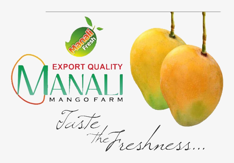 Ratnagiri Alphanso - Superfood, transparent png #3643038