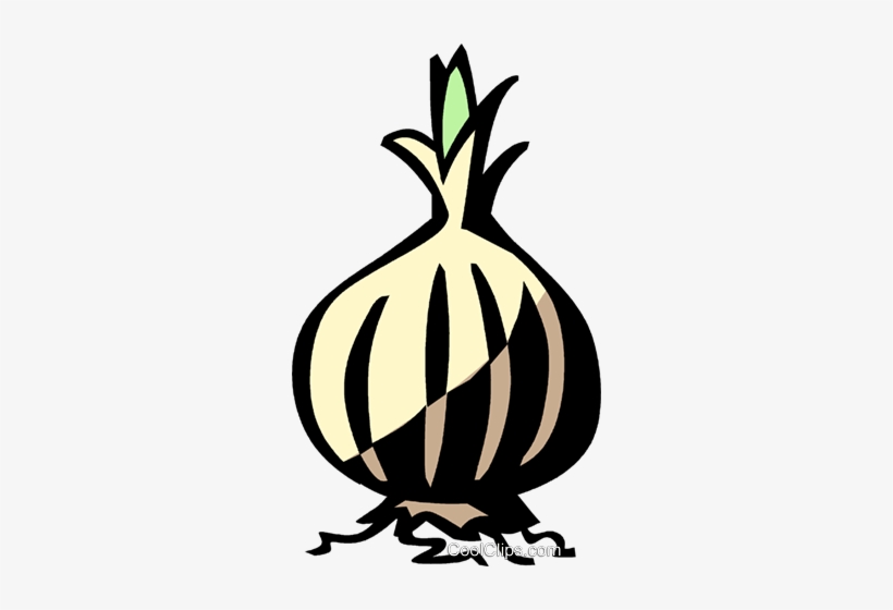 Onions Royalty Free Vector Clip Art Illustration - Illustration, transparent png #3643402