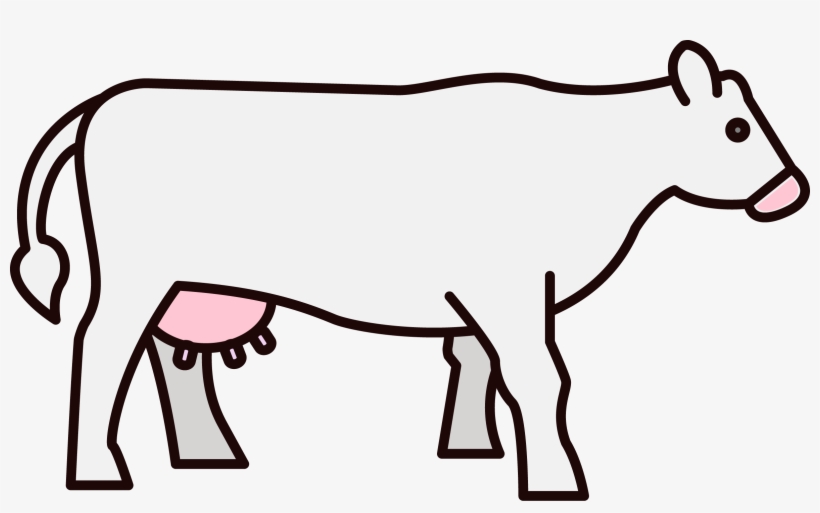 Png Coloured - Cattle, transparent png #3643803