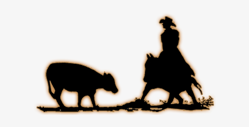 Southern Cutting Futurity, transparent png #3643994