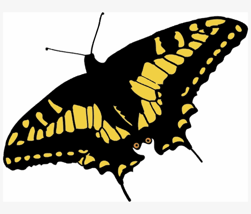 Free Butterfly - Black And Yellow Butterfly Shower Curtain, transparent png #3644014