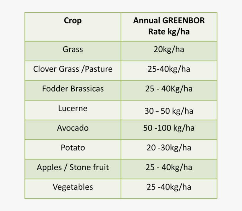 Greenbor Application Table - Portable Network Graphics, transparent png #3644155