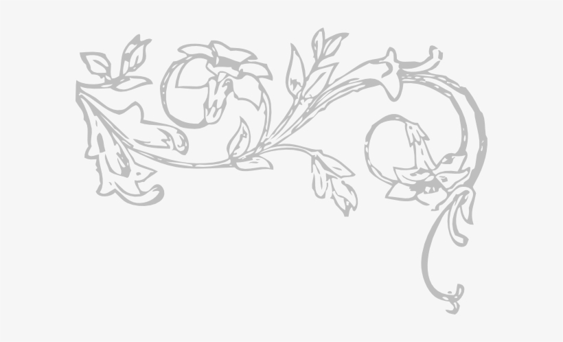 Vine Black And White Clipart, transparent png #3645403