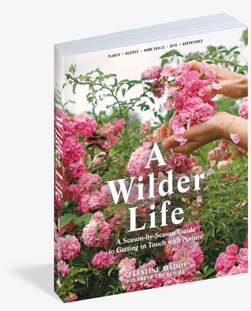 View Full Size Image - Wilder Life: A Season-by-season Guide To Getting In, transparent png #3646459