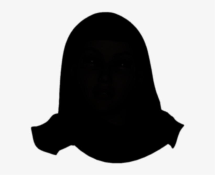 Silouhette Provided By Hebba Uddin - Marine Mammal, transparent png #3646501