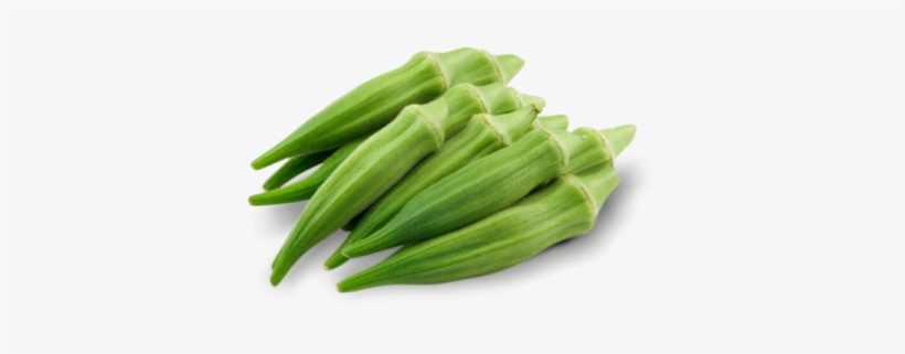 World No1st Exocrine System Ladies Finger - Okra Clipart, transparent png #3646502