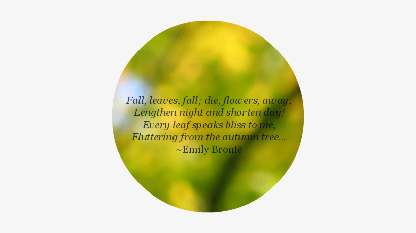 Well It's The Last Day Of Autumn Here In Brisbane - Circle, transparent png #3646558