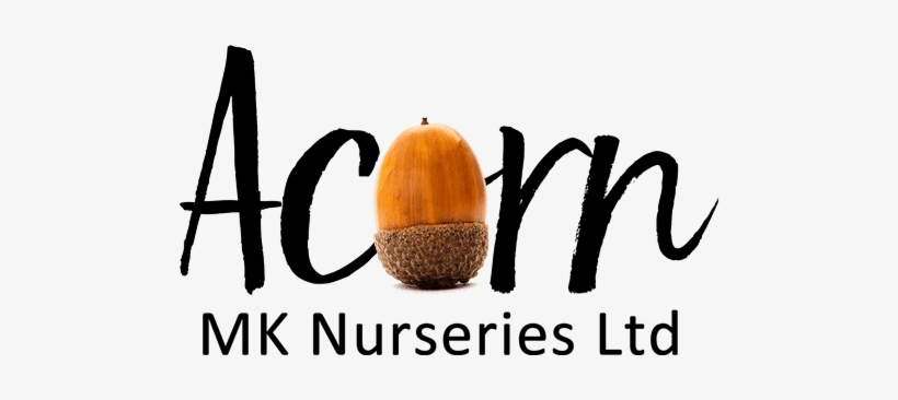 Adding Vibrancy To Gardens With Our Range Of Summer - Kitchen, transparent png #3646669