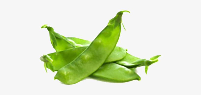 Sumo Fresh - Broad Bean, transparent png #3646753