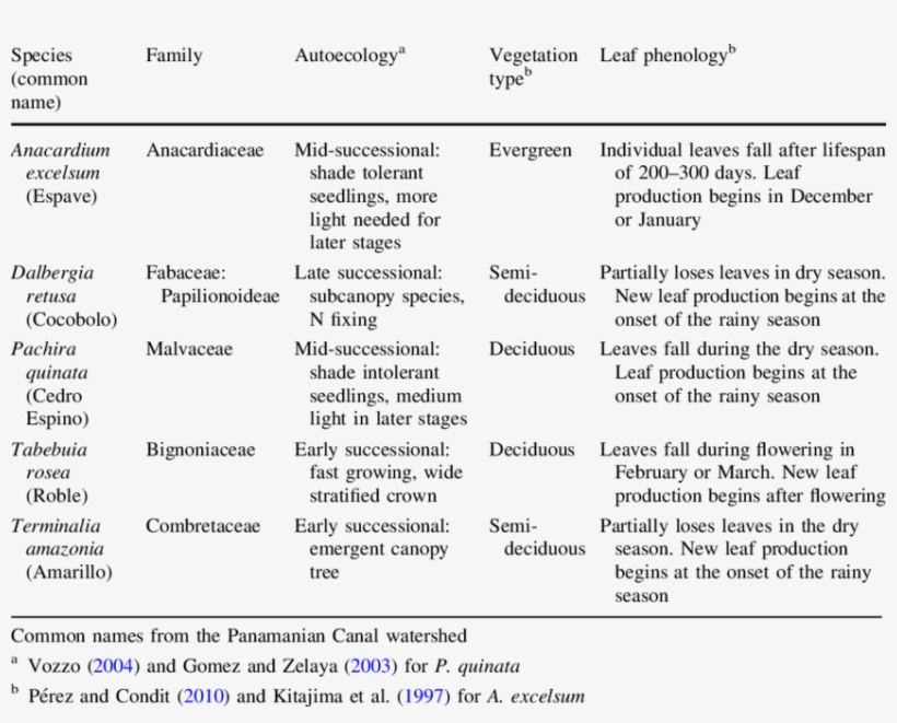Life History Traits Of Studied Tree Species Native Life History Trait