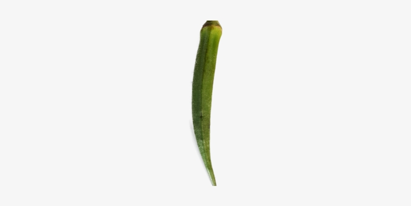 Wishlist Loading - Okra, transparent png #3646846