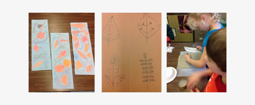 We Sketched All Sorts Of Leaves And Chose One To Make - Motif, transparent png #3646872
