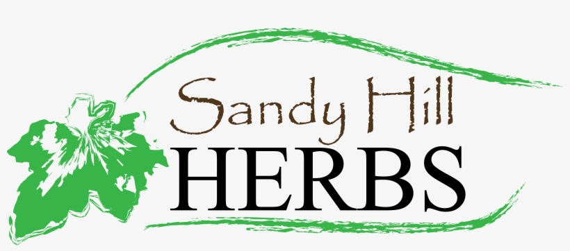 Dried Moringa Leaves, transparent png #3646929