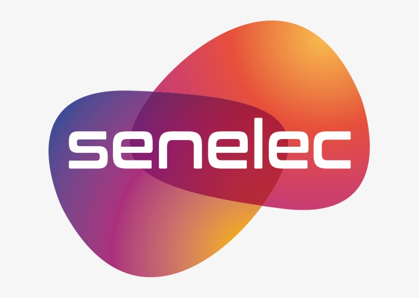 Logo Senelec Hd , 2018 05 07 - Logo Senelec, transparent png #3647024