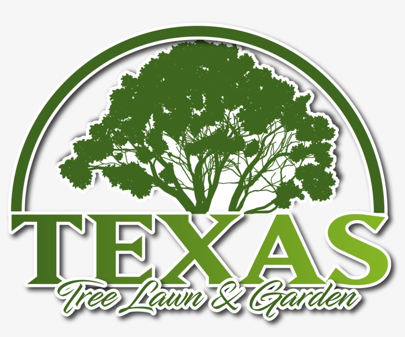 Corpus Christi, Tx Aside From Their Beautiful Value - Texas Tree Lawn & Garden, transparent png #3647319
