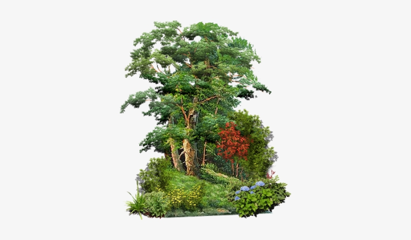 Ftestickers Tree Garden Natürel Branch Flower - Good Morning Today Thought, transparent png #3647872