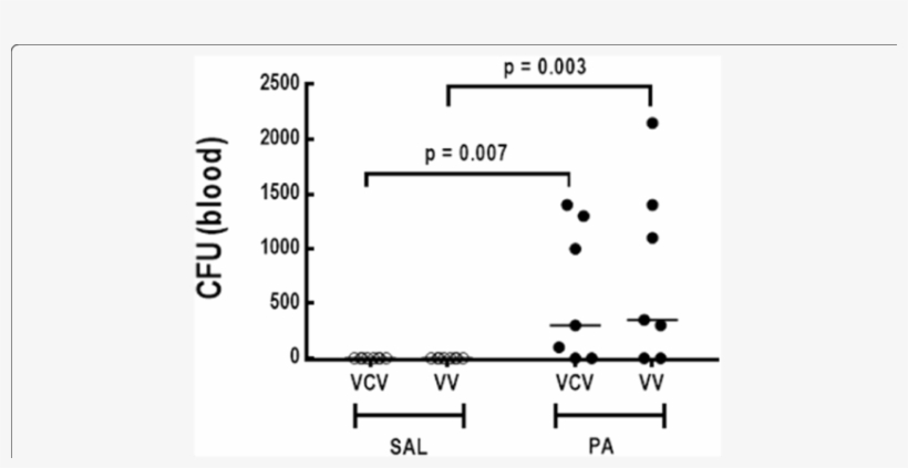 Blood Bacterial Counts - Diagram, transparent png #3648011