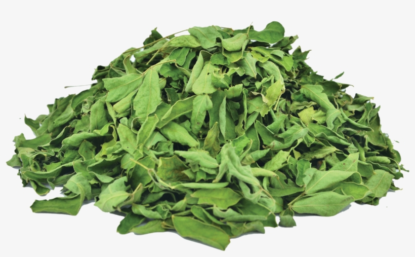 Organic Cassia Leaves - Henna, transparent png #3648659