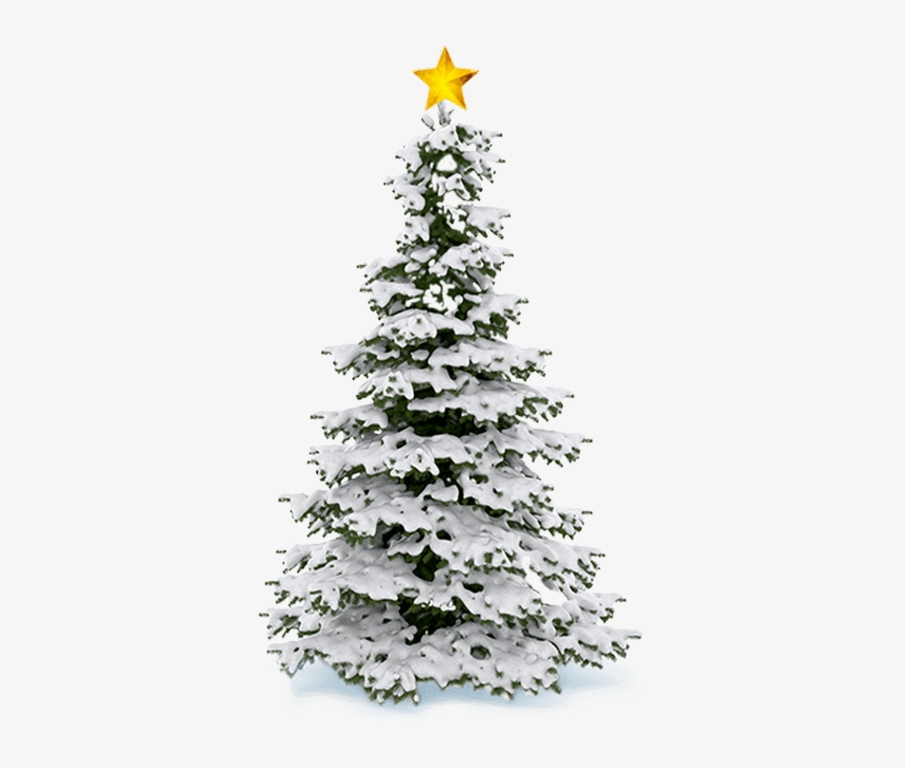 Thanks To All Our Generous Sponsors - Christmas Tree Snow Png, transparent png #3649290