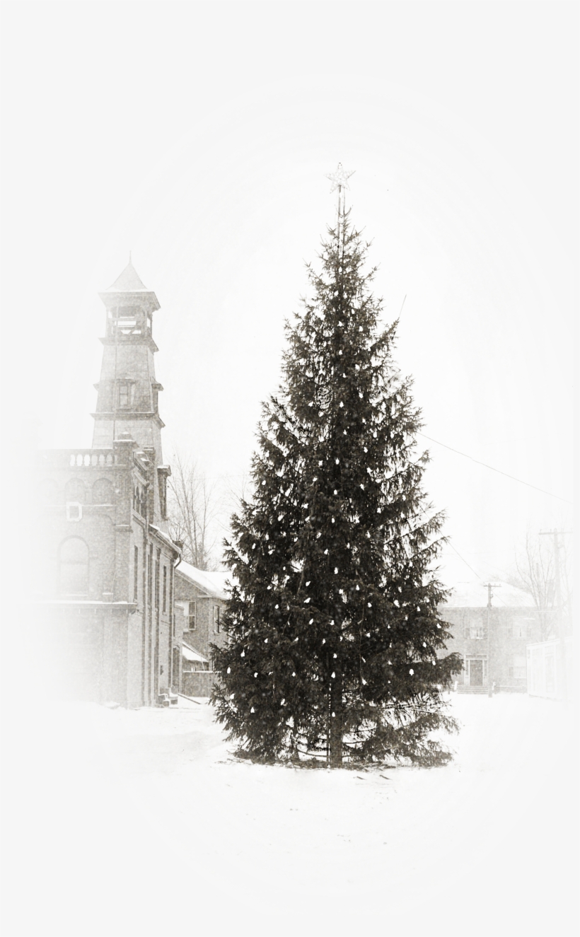 The Dundas Museum And Archives Is Hosting A Christmas - Christmas Tree, transparent png #3649343